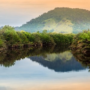 Vue panoramique de la jungle tropicale sauvage sur l'île de Bornéo, Indonésie