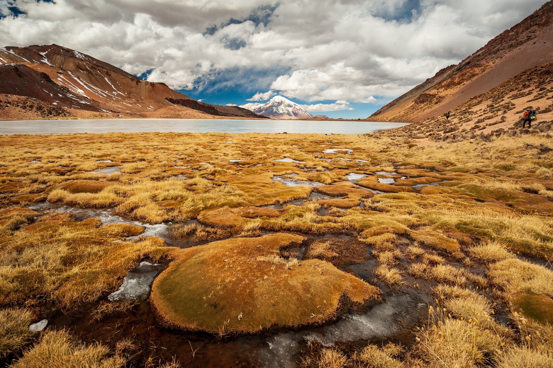 Vue sur le volcan Nevado Sajama au parc national de Sajama, en Bolivie