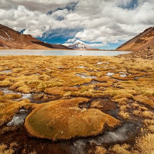 Vue sur le volcan Nevado Sajama au parc national de Sajama, en Bolivie