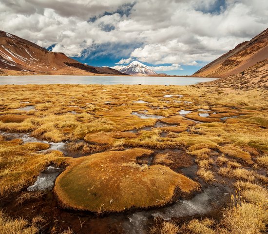 Vue sur le volcan Nevado Sajama au parc national de Sajama, en Bolivie