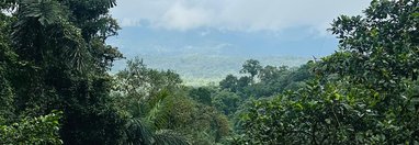 Souvenir du voyage de Steve, Costa Rica