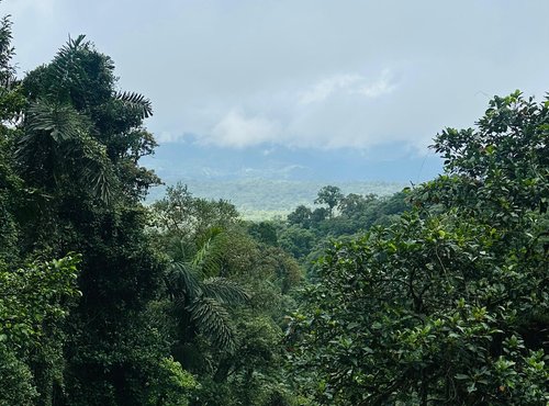 Souvenir du voyage de Steve, Costa Rica