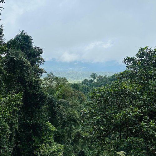 Souvenir du voyage de Steve, Costa Rica