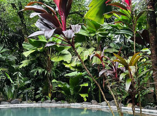 Souvenir du voyage de Steve, Costa Rica