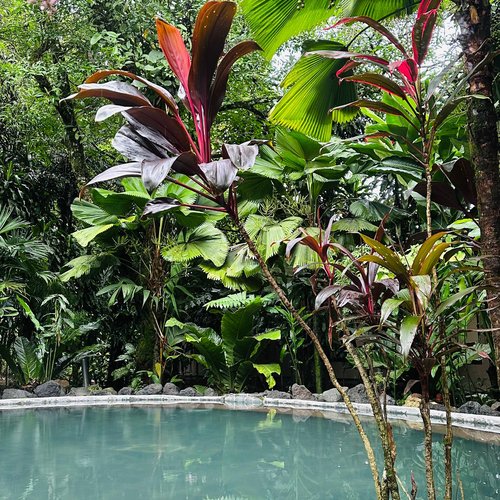 Souvenir du voyage de Steve, Costa Rica