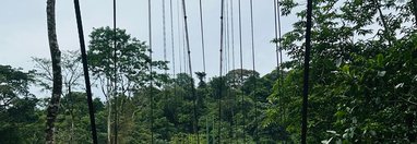 Souvenir du voyage de Steve, Costa Rica
