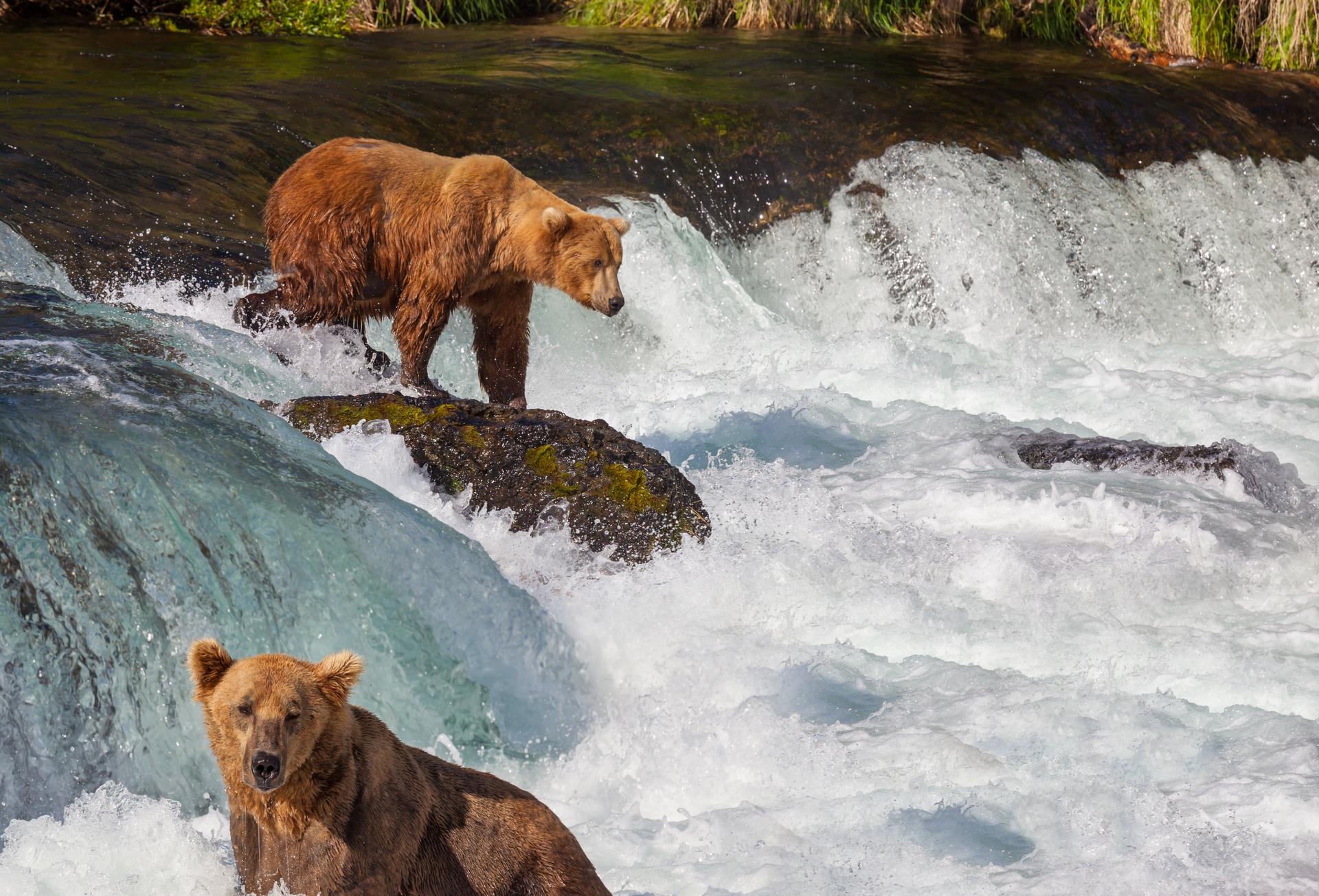 L’Alaska grandeur nature