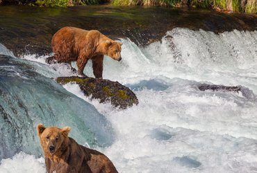 Alaska grandeur nature2