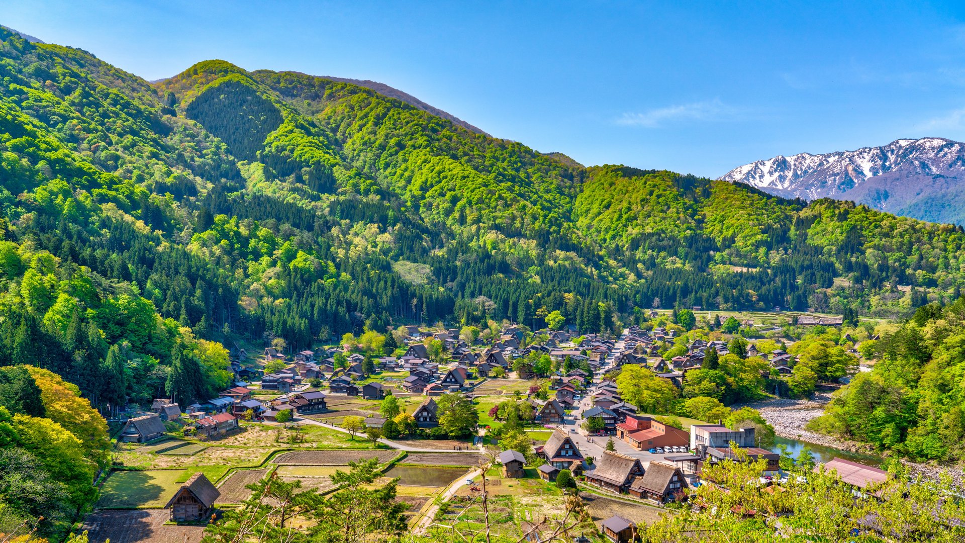 alpes japonaises village de Shirakawago vue aérienne