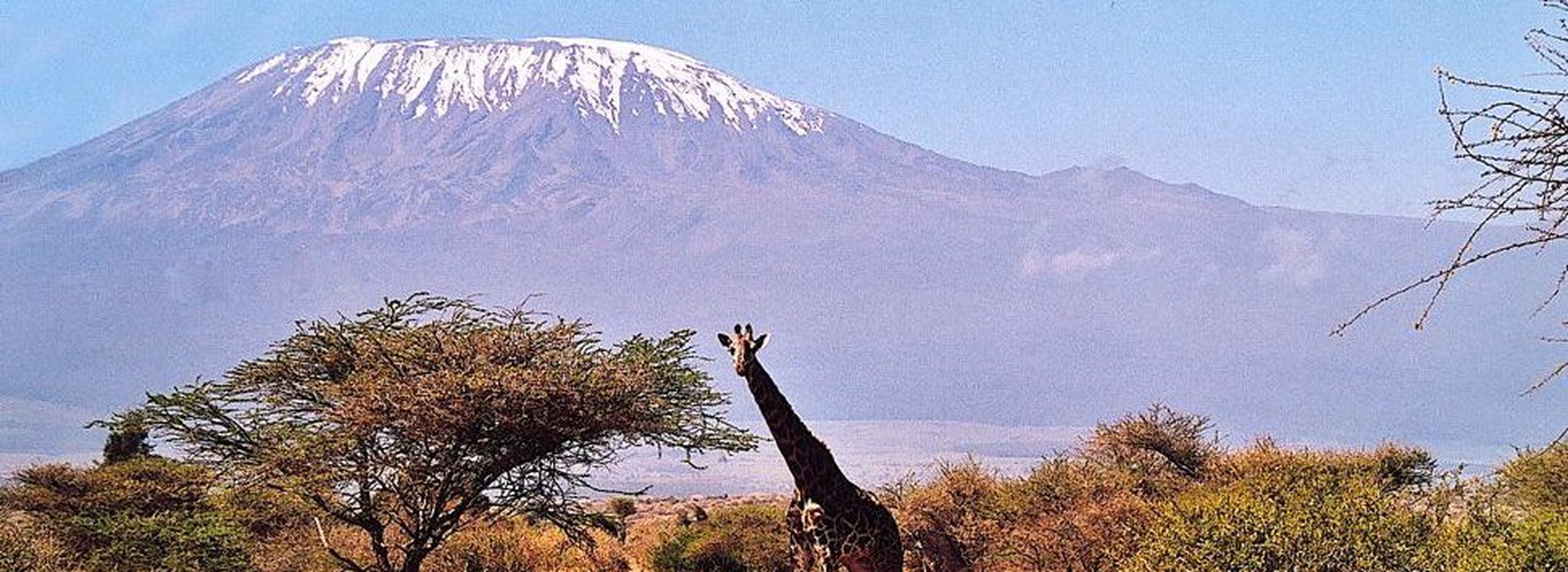 amboseli region kilimandajro