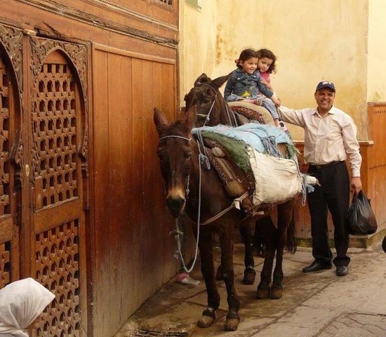 âne souk