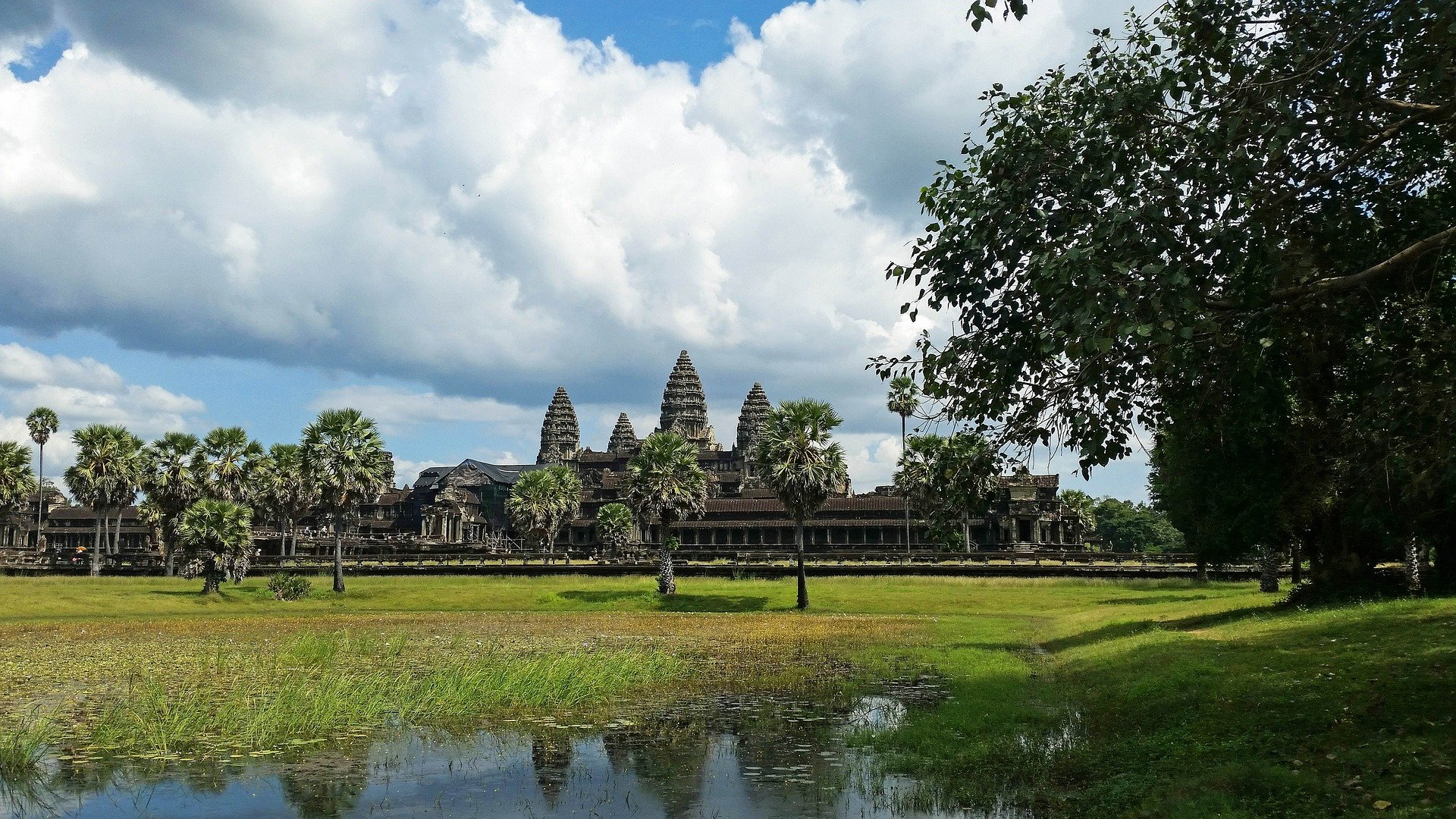 angkor cambodge verdure