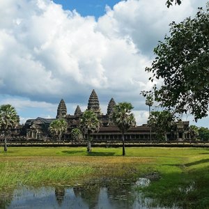 angkor cambodge verdure