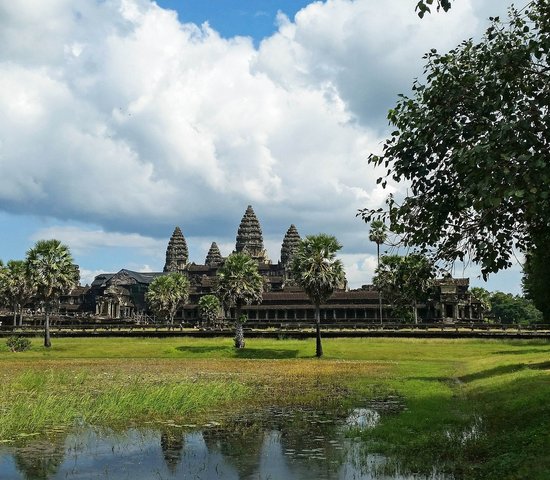 angkor cambodge verdure