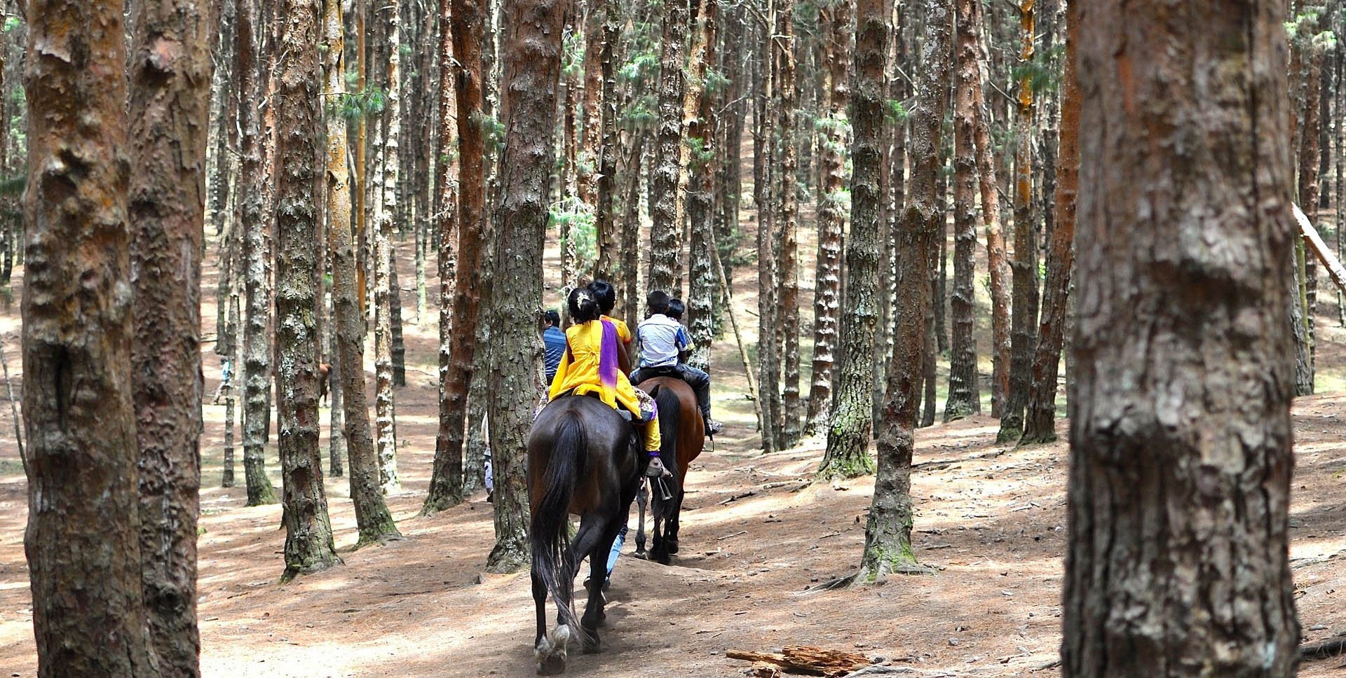 balade cheval inde