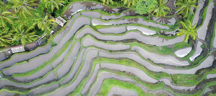 Bali photo