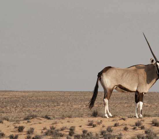 Bande de Caprivi Namibie