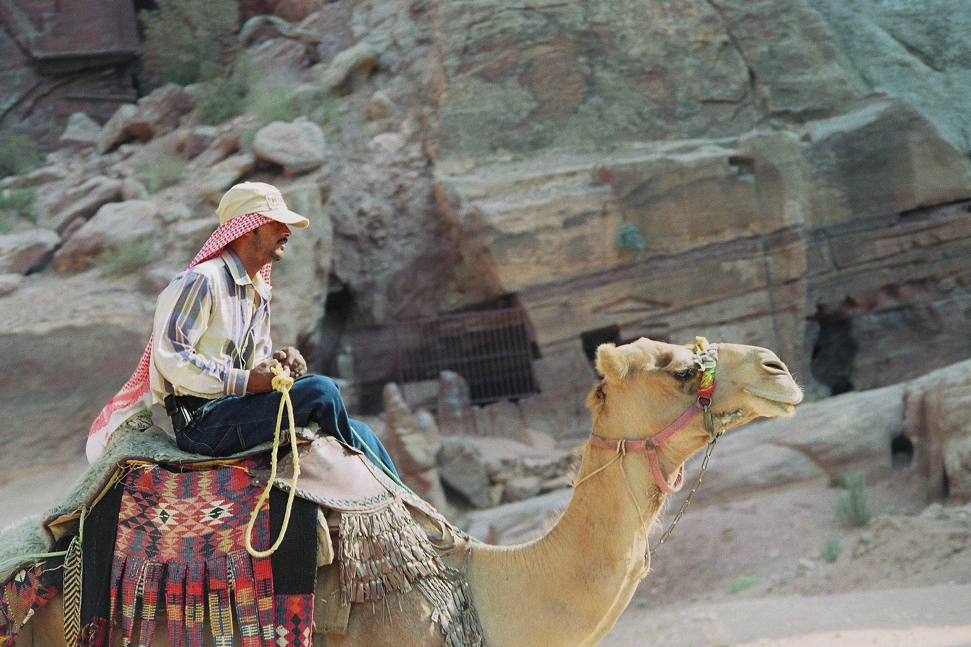 bedouin jordanie