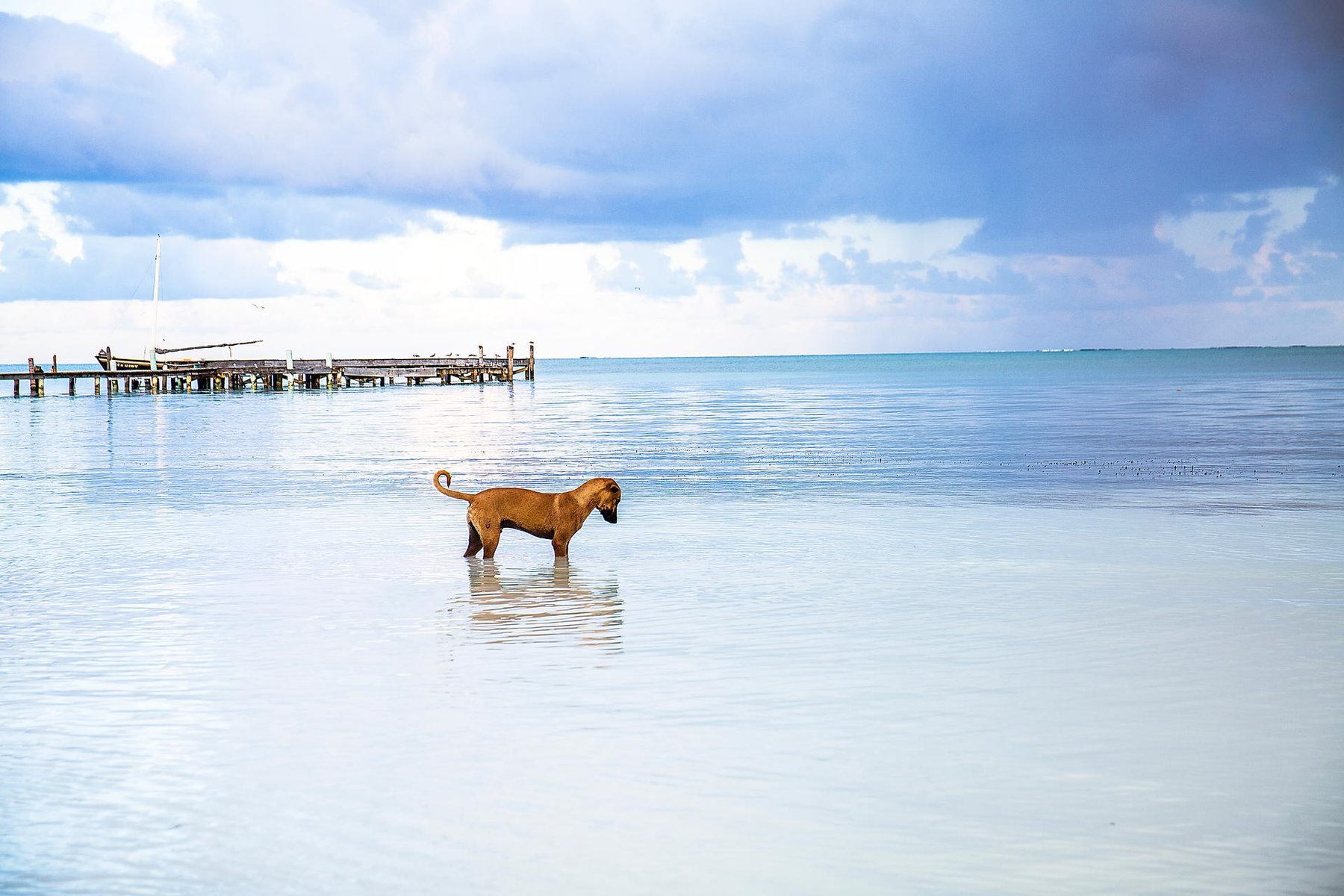 belize mer eau