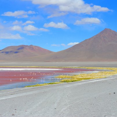 Bolivie   Laguna Colorada
