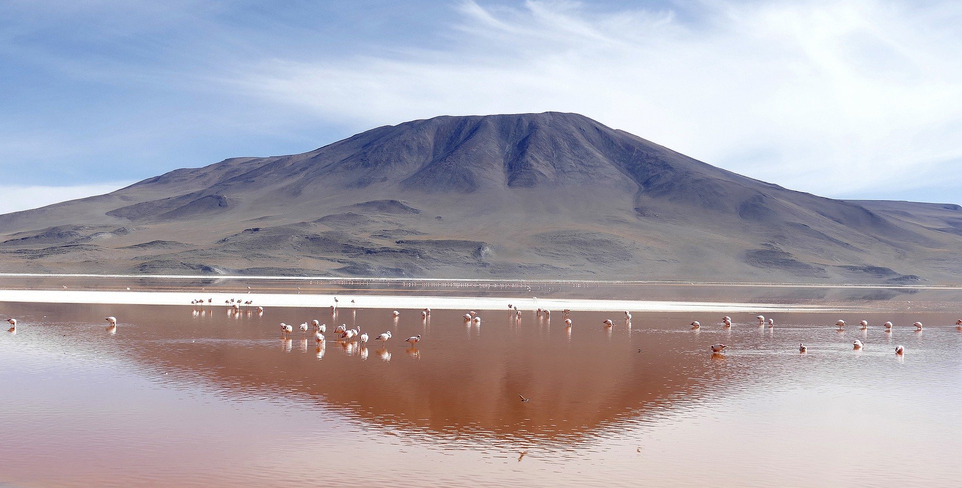 bolivie laguna colorado