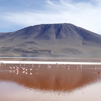 bolivie laguna colorado