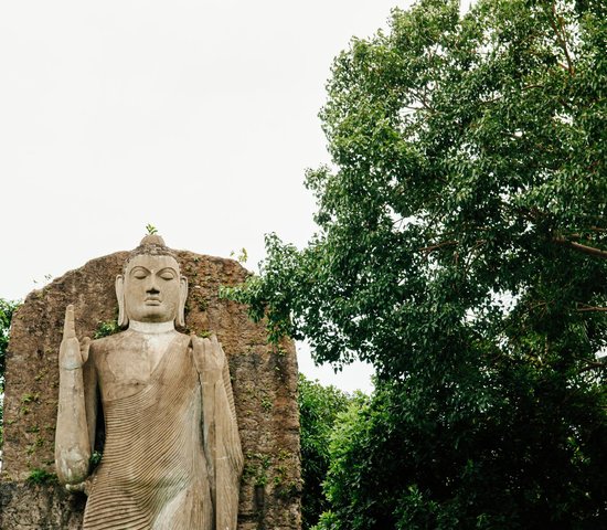 Bouddha géant d’Aukana   Sri Lanka