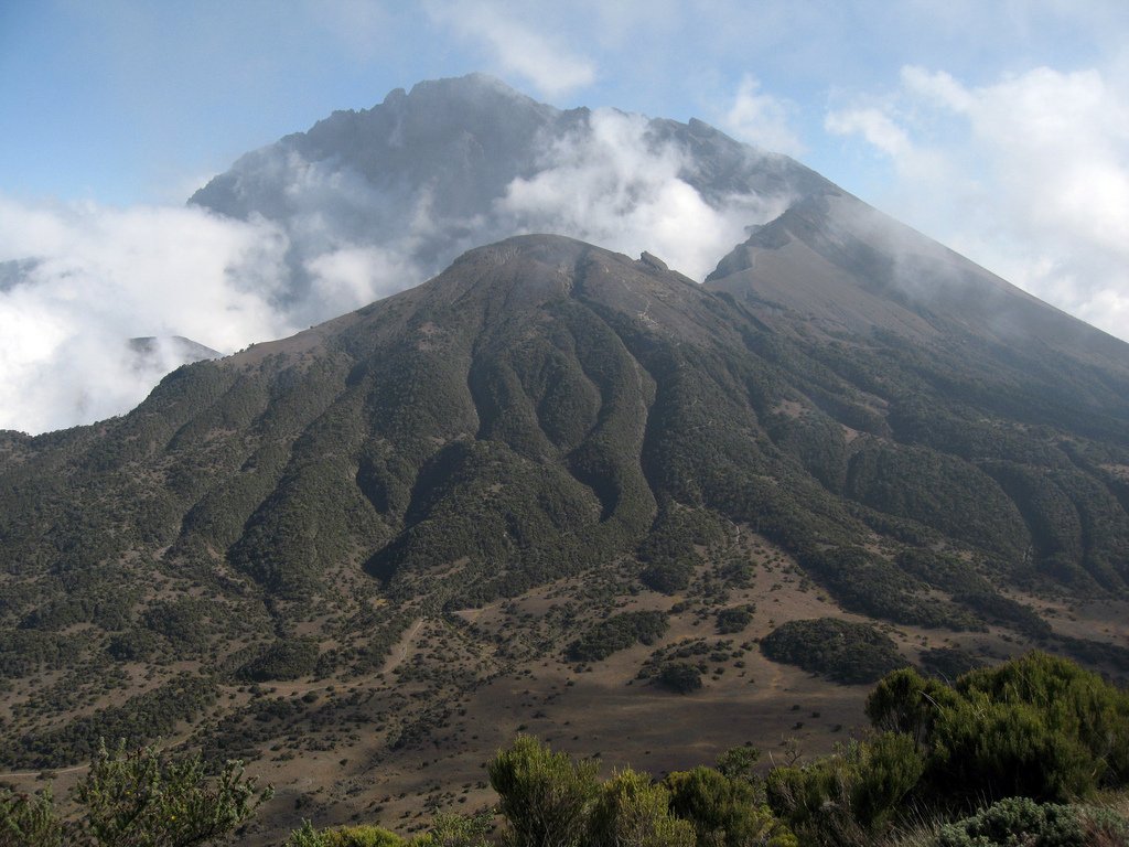 Brume au mont Meru tanzanie