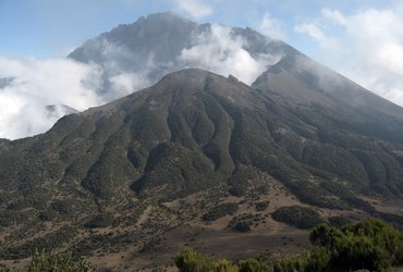 Brume au mont Meru tanzanie