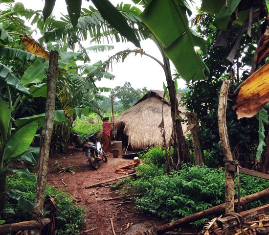 La province de Mondulkiri, Cambodge