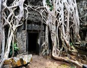cambodge