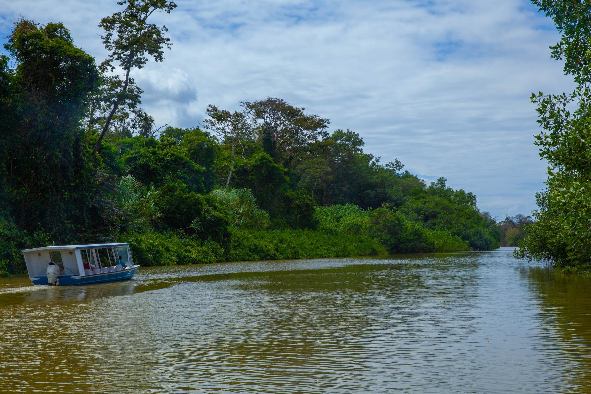 canal tortugero   costa rica