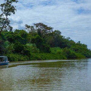 canal tortugero   costa rica