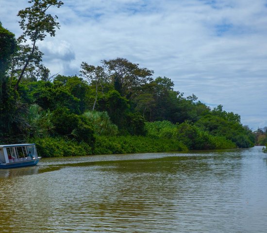 canal tortugero   costa rica