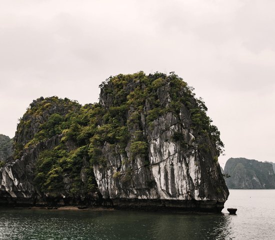 Cat Bat Vietnam