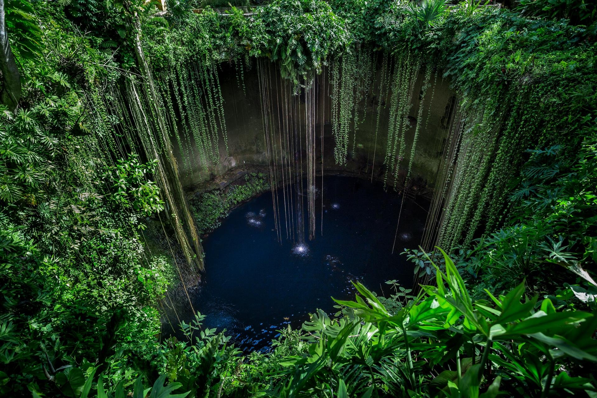 Cenote   Chichen Itza   Mexique