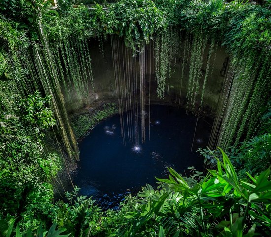 Cenote   Chichen Itza   Mexique