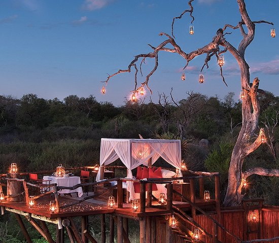 Chalkley Luxury Treehouse Sabi Sands Afrique du Sud