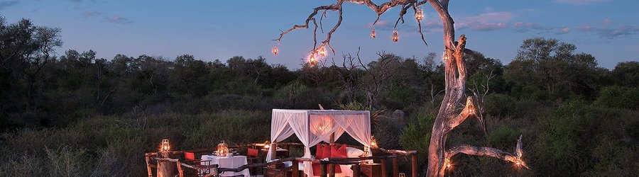 Chalkley Luxury Treehouse Sabi Sands Afrique du Sud