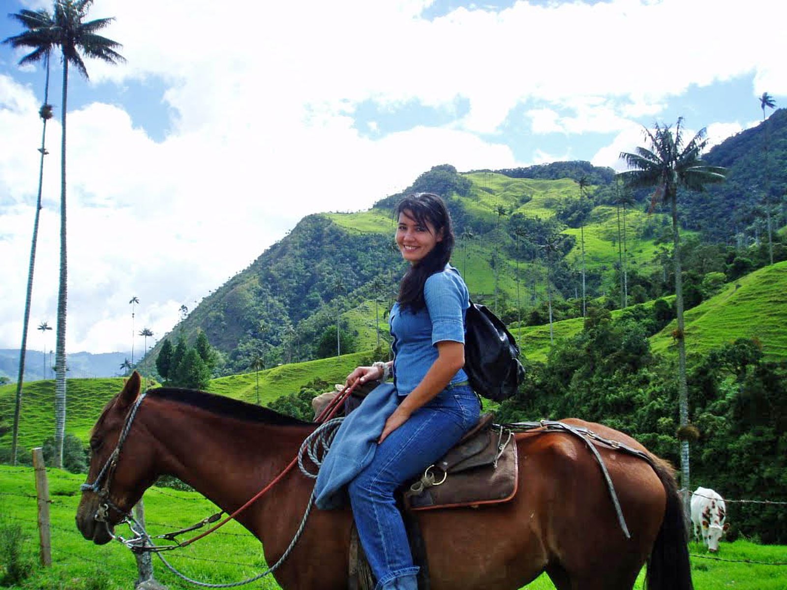 cheval cocora