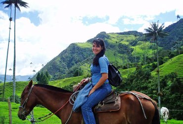 cheval cocora