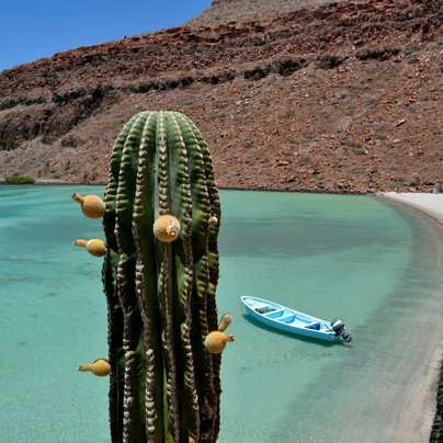 Basse Californie au Mexique
