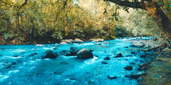 costa rica rio celeste tenorio