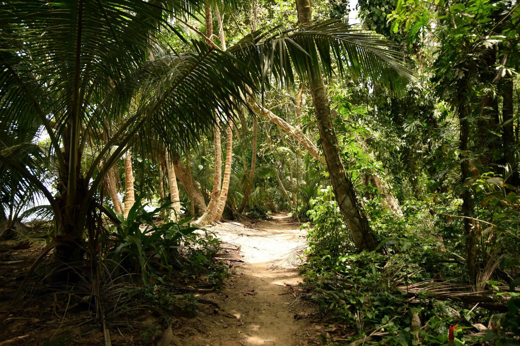 costa rica
