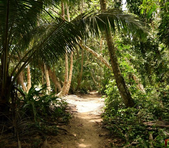 costa rica