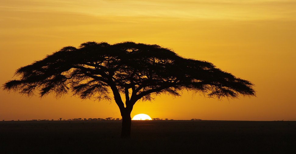 Coucher de soleil en Tanzanie