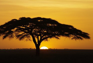 Coucher de soleil en Tanzanie