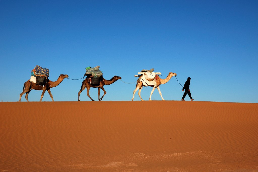 désert maroc