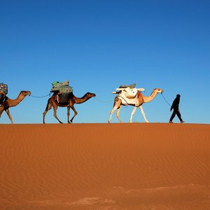 désert maroc