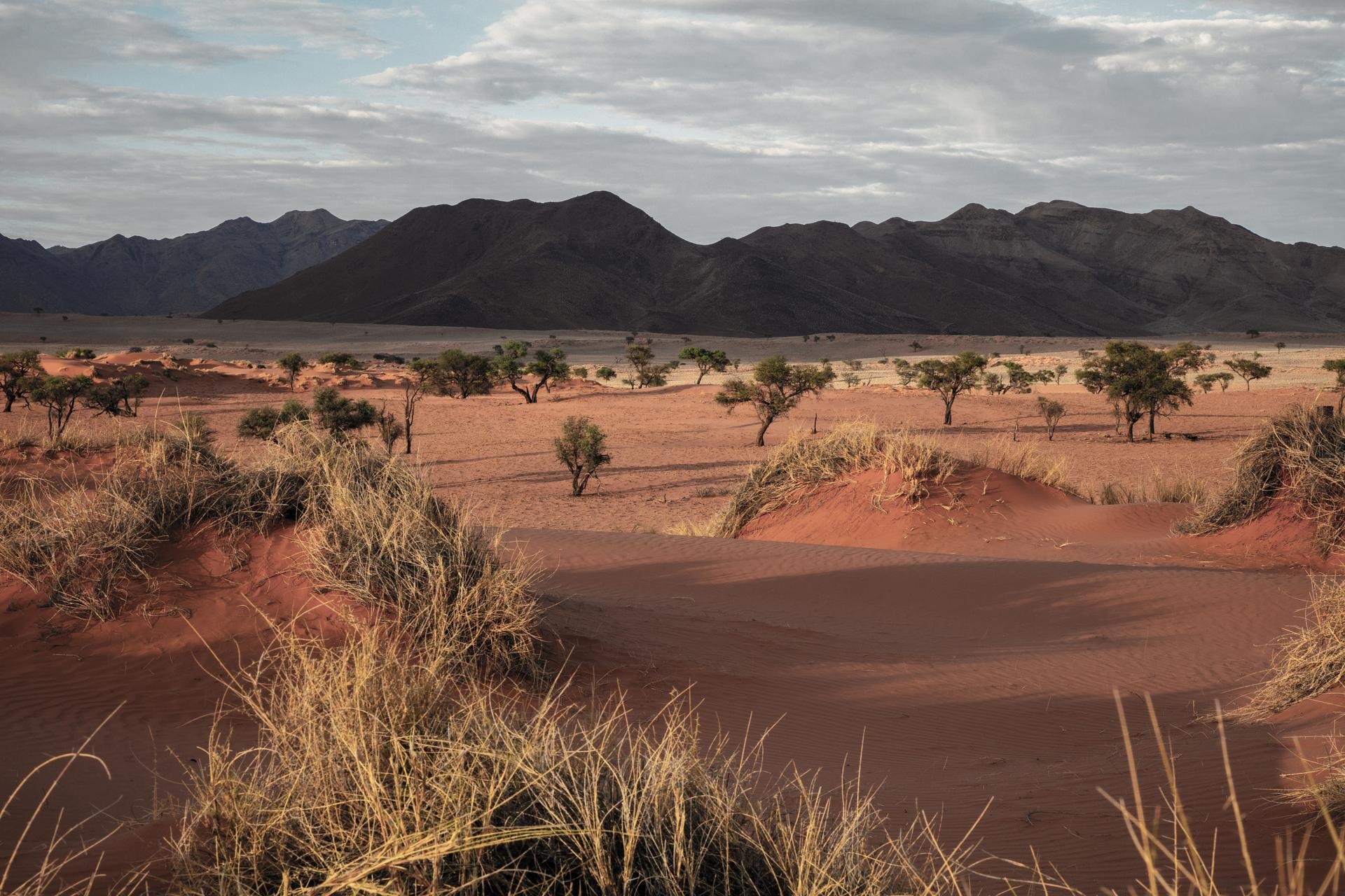 Desert Namibie